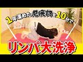 【毒出しで59kg→48kg】全身の老廃物をドバドバ流して体中の毒と脂肪と疲労をリンパで大掃除！