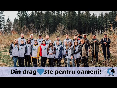 Copacii Generației de