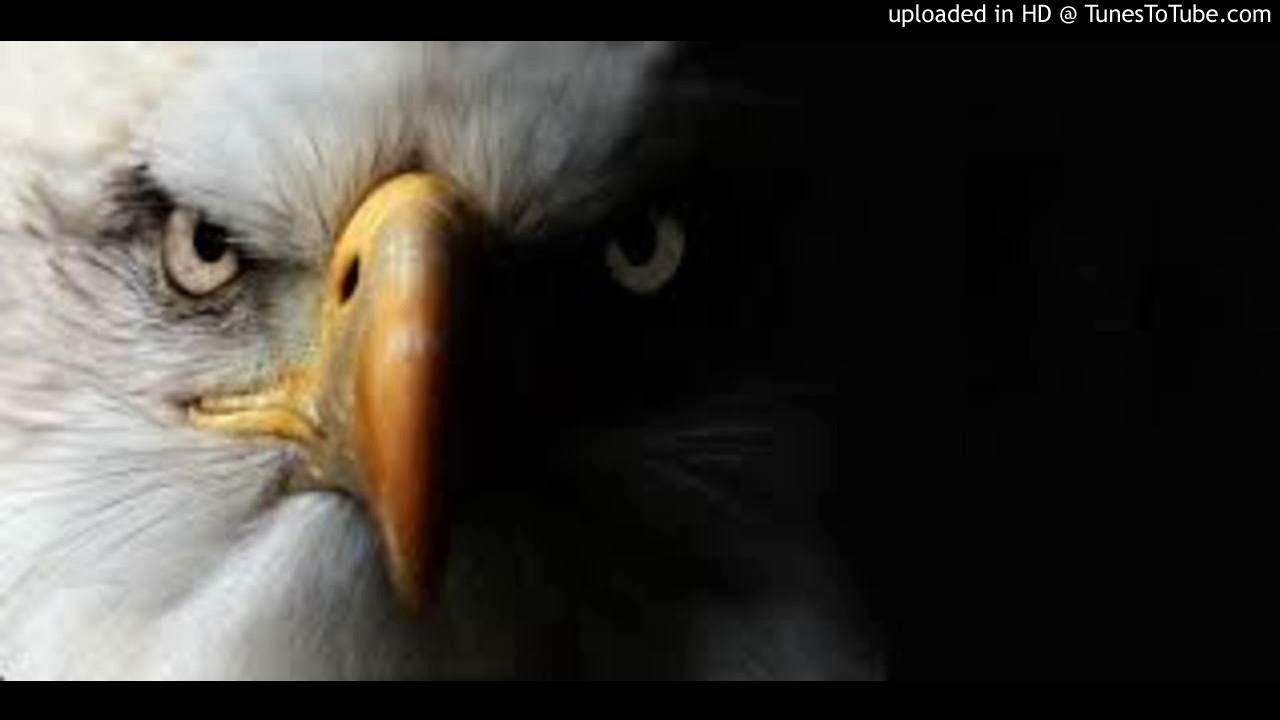 Dj Fox - Maniatik (Original Mix)