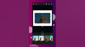 Creating Vintage Photo Effects in Canva | Canvalicious