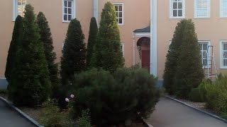 видео: Формировка туй на конус картинка: Формировка туй на конус