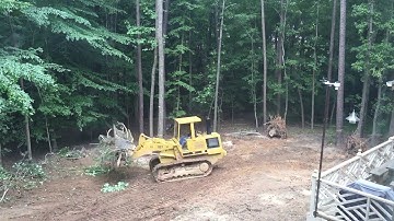Cutting Down Trees Timelapse-2