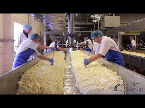 ქარხნული ყველის დამზადების პროცესი • Cheese Making Process in the Factory