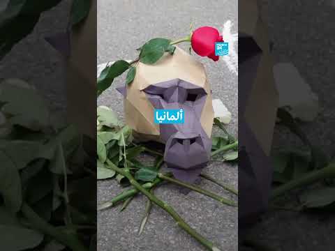 ألمانيا: ذبح 12 قرداً في حديقة حيوانات بسبب الاكتظاظ