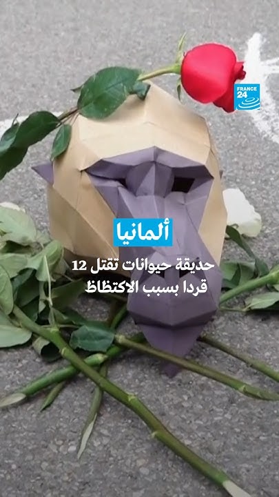 :    12   --   24 / FRANCE 24
 - نشر قبل 5 دقيقة