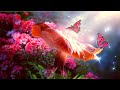 Beautiful Morning Vibe Music 432HZ - Embrace Love, Freedom, Harmony Music - Calming Yoga Music