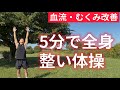 【全身ストレッチ】血流・心肺機能向上する健康体操