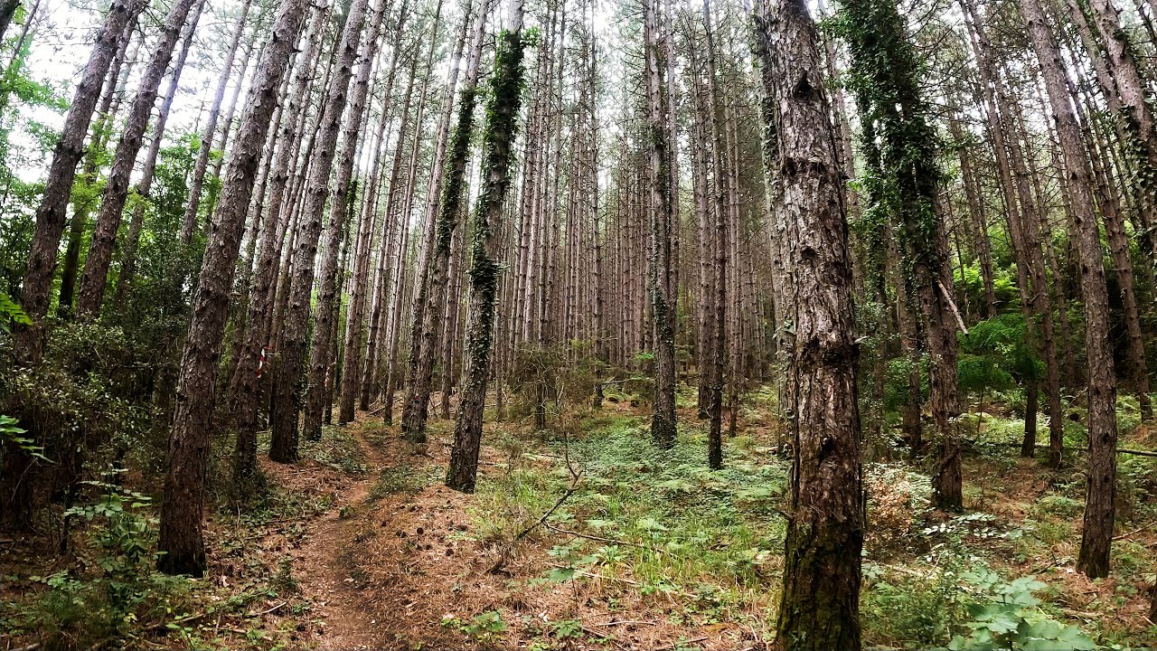 Pamvotis View Trail 21km/1140