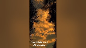 تلاوة آيات من #سورة الزمر {أليس الله بكافٍ عبده}