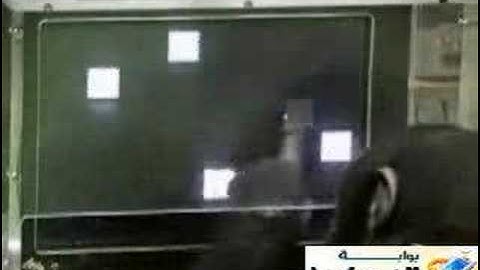 chimpanzee  SMART THAN HUMAN