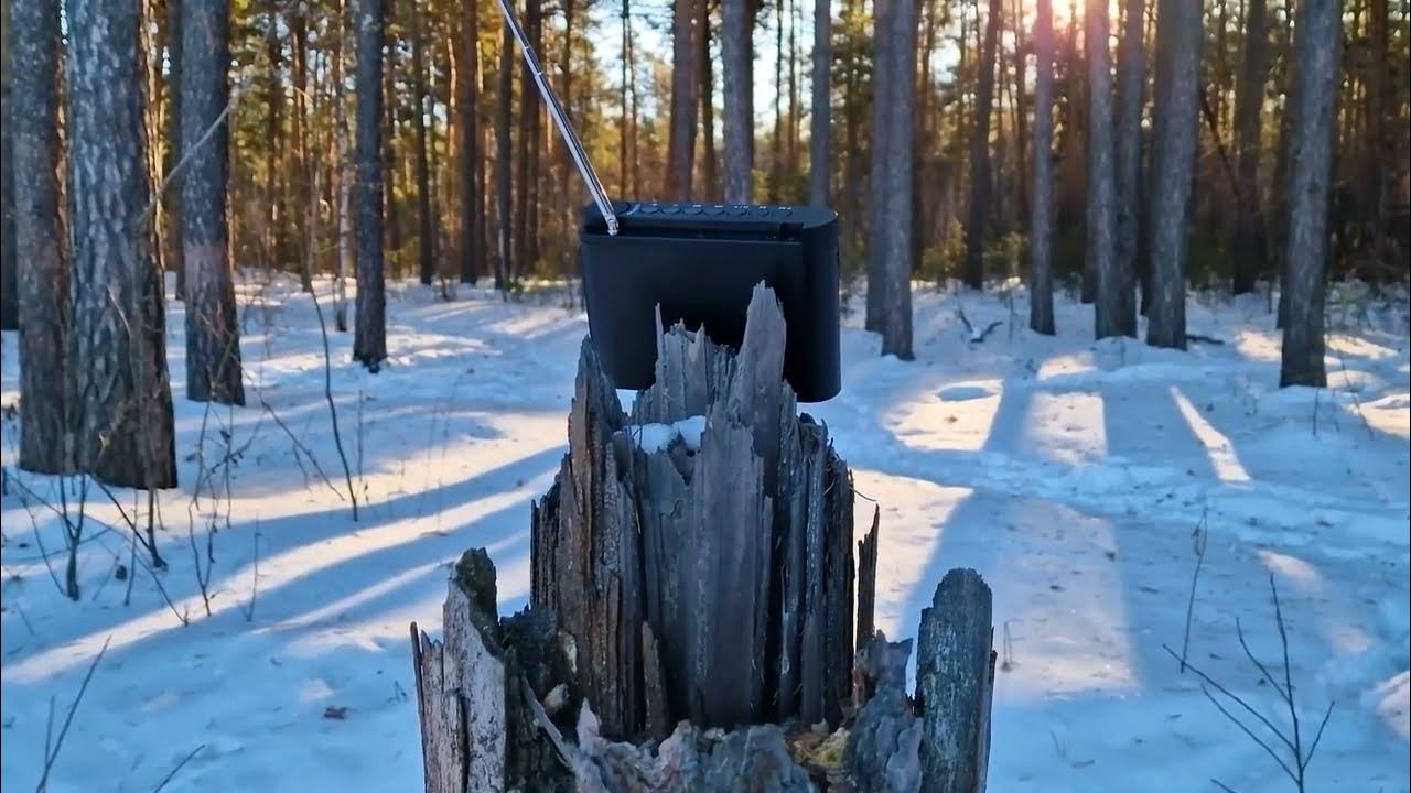 Слушаем Радиоприемник Perfeo ТАЙГА Часть 1 - YouTube