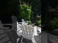 Beautiful Backyard Before &amp; After