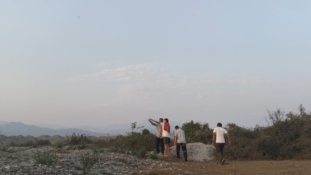 Berry hunt? (15/01/26)