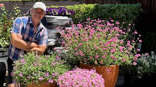 My Favorite Garden & Container Ideas | What I Planted This Summer | Gardening with the Williamses