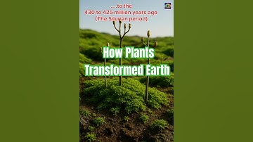 How Early Plants Transformed Earth’s Land & Climate
