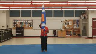 Celebrity Basic Flag Combinations Wealth