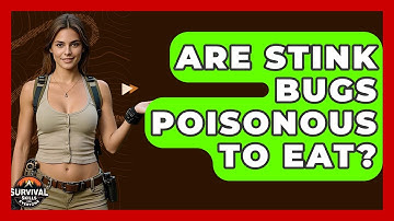 Are Stink Bugs Poisonous To Eat? - Survival Skills for Everyone