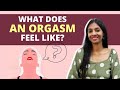 This is how you can know if youve had an orgasm  shethepeople