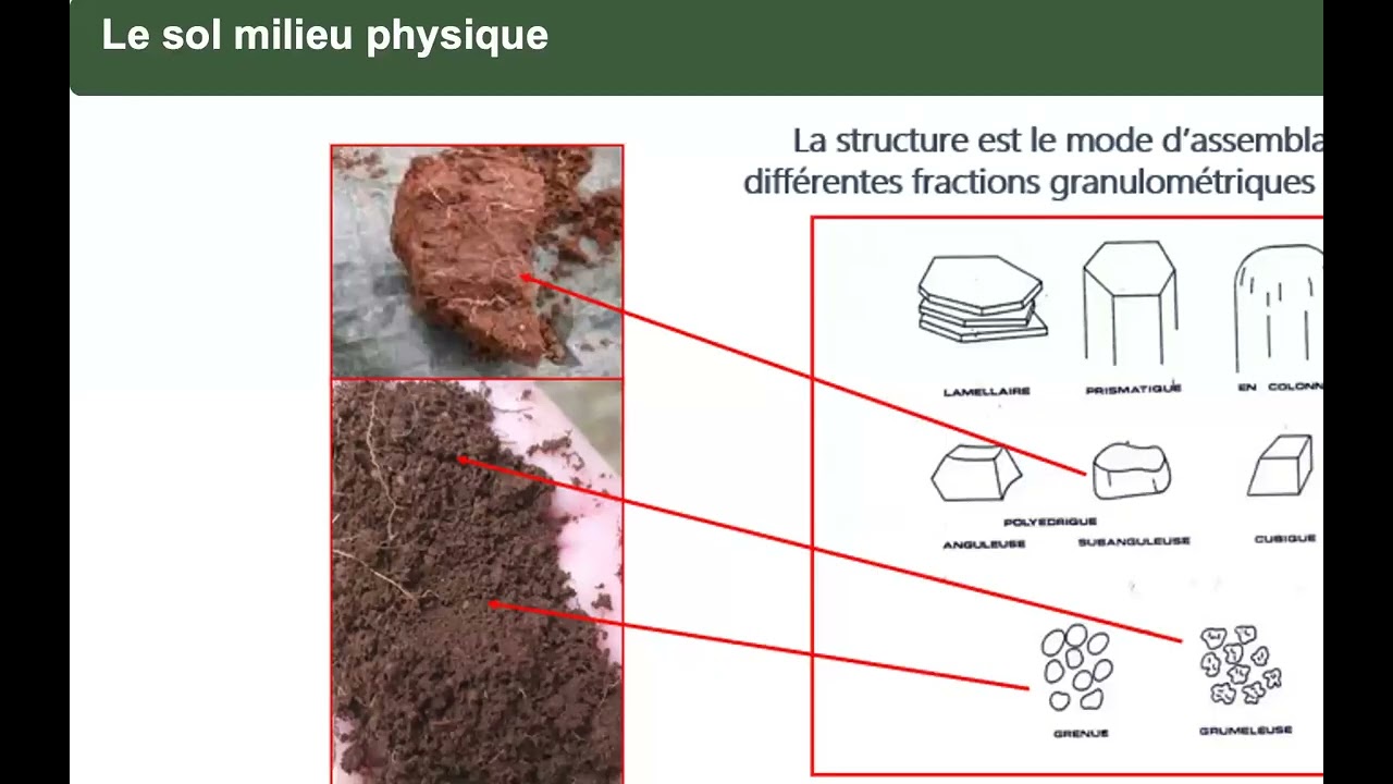 Webinaire d’initiation à la pédologie « Sous la forêt… le sol » - 7 octobre 2025