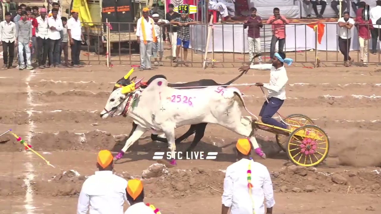 गट क्र- 9 विजयी घोट चा सर्जा आणि मल्हार आमदार केसरी एक दुसा एक बैल मैदान  गिडेगाव