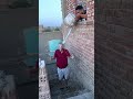 لما النور يكون قاطع والنطره تنطر 