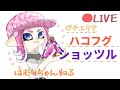 [XP2544～2634]わかばシューターガチエリア ハコフグ　ショッツル[スプラトゥーン2]