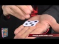 Vídeo: Dado Aplastado