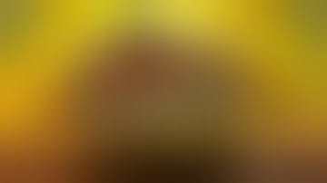 ZOMBIELAND: HEADSHOT FEVER - Virtual Reality Game Announcement Trailer