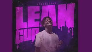 Information Lean cup (Realbleeda) 2k24mixtape Update