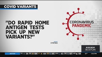 Do at-home COVID tests pick up new variants?
