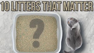 10 BEST CAT LITTERS by Aiamazing Top 10 39 views 1 year ago 7 minutes, 11 seconds