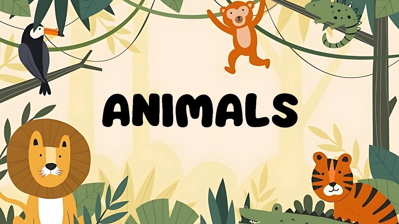 Learn some Animals and Birds names| animals and Birds cartoon video for kids|  fun learning video
