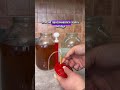 Простая система фильтрации в домашних условиях БЕЗ ЗАТРАТ! #самогонныйаппарат #настойки #самогон