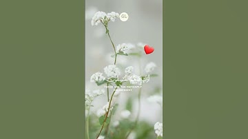 قرآن كريم --تلاوة خاشعة |القارئ علي جابر رحمه الله #القرآن_الكريم #sorts #quran #تلاوة #القرآن