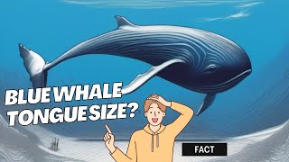 Shocking The Tongue of a Blue Whale is So Large That 50 People Could Stand on It