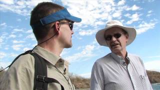 The Leatherback Trust: Protecting the World's Largest Sea Turtles