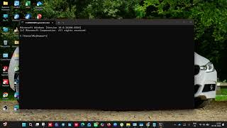 View Network Details in CMD