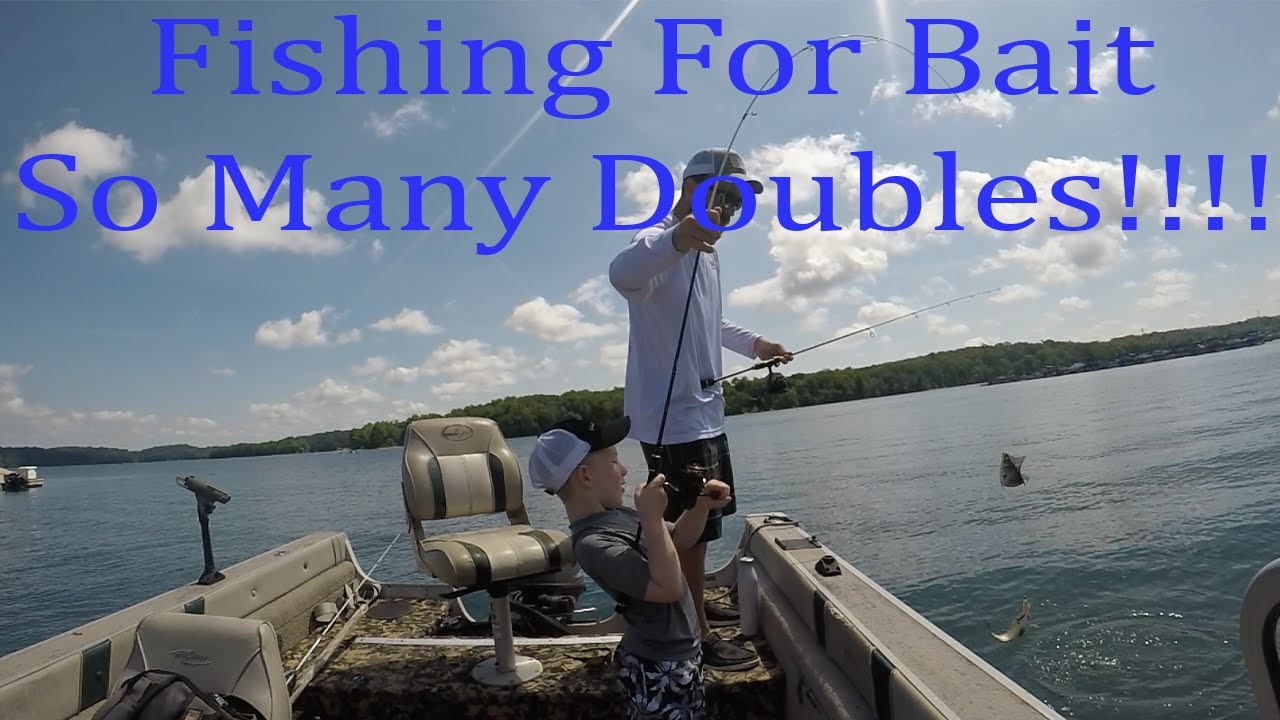 Lake Marburg White Perch Fishing! YouTube