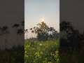 Beauty of Nature. Once India used to be very beautiful but then Western started plastic pollution.