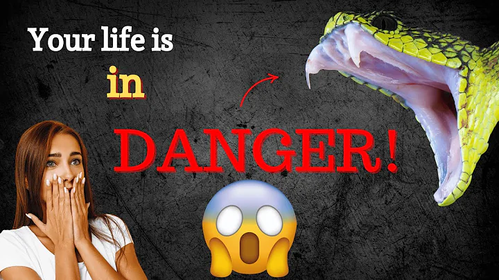 What does it mean to dream about snakes biting you? Pay attention!