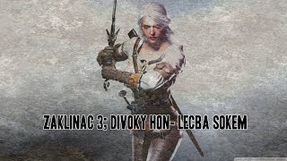 Zaklínač 3 Divoký Hon Vedlejší Mise-Léčba Šokem Fakovník