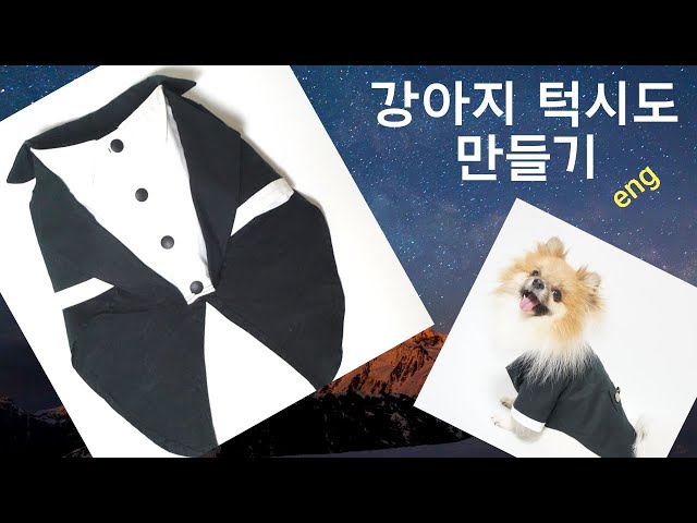 Making a Dog Tuxedo hand-made dog clothes - YouTube