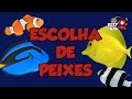 Reef Show #7 - Escolha de Peixes (1) - Aquário Marinho