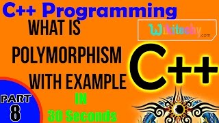 Information What is Polymorphism in C++ | Polymorphism In C++ with Example | C++ Interview Questions and Answers Guide