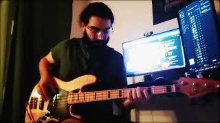 Gotye ft. Kimbra - Somebody that I Used to Know (Bass Cover)