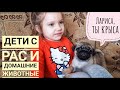 Наши питомцы 🐶🐱🐹. Аутята и животные | Аутизм