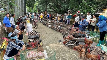 Chợ phiên Mai Châu - Hoà Bình bán toàn đồ lạ & nông sản sạch - Khách du lịch tranh nhau mua đồ rừng