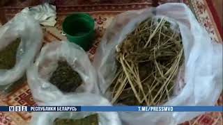 В Могилеве задержан распространитель марихуаны