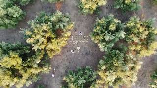 Hello Greece Image Film