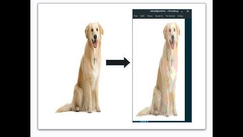 Display Images in Linux Terminal using Python